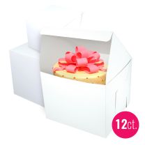 10x10x8 Tall Box, 12 ct